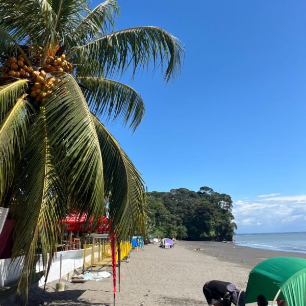 WhatsApp Image 2026-01-27 at 14.29.24 (3)