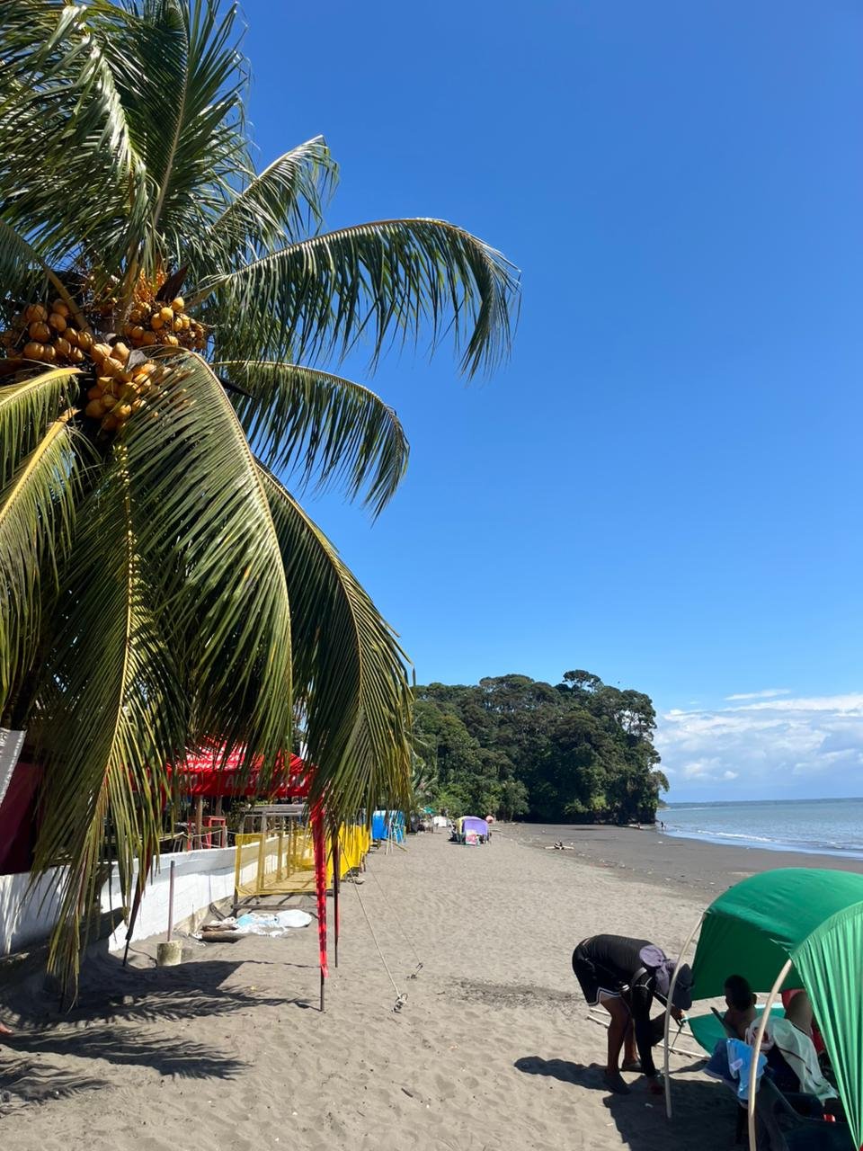 WhatsApp Image 2026-01-27 at 14.29.24 (3)